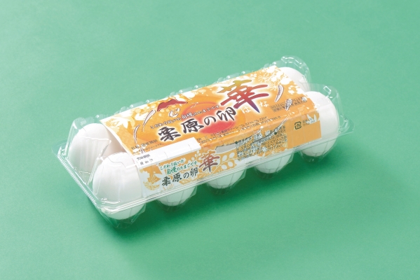 エコたまパック　写真