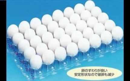 KURI 40HトレーLL・L＜KT-1＞ 写真